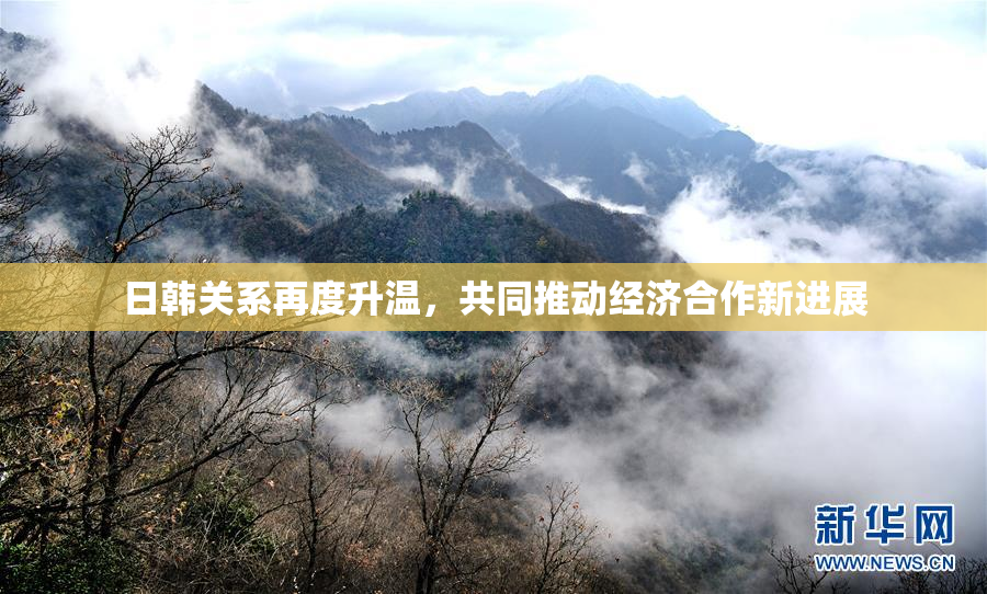 日韩关系再度升温，共同推动经济合作新进展