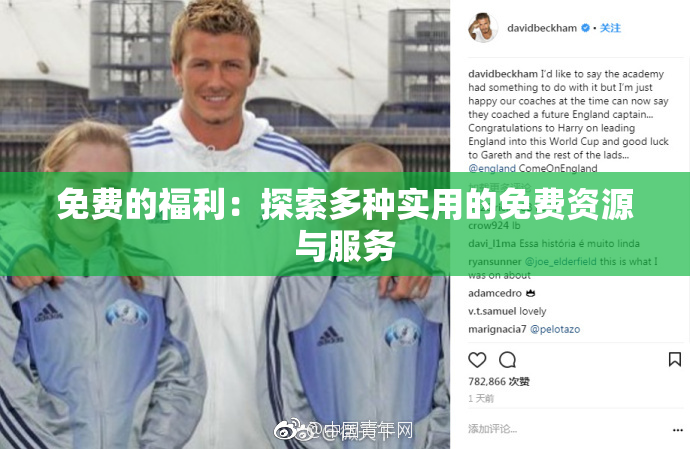 免费的福利：探索多种实用的免费资源与服务