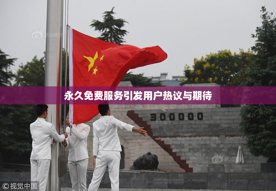 永久免费服务引发用户热议与期待