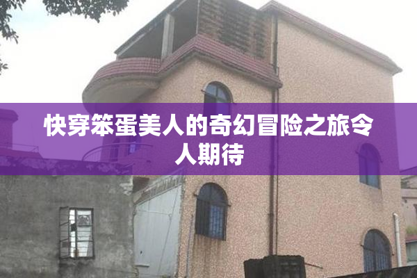 快穿笨蛋美人的奇幻冒险之旅令人期待