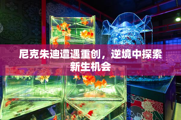 尼克朱迪遭遇重创，逆境中探索新生机会