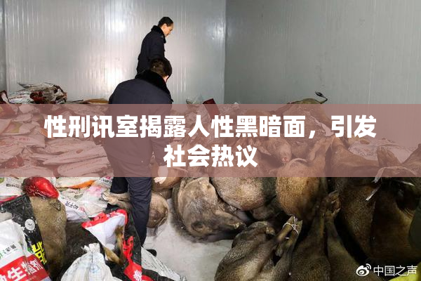 性刑讯室揭露人性黑暗面，引发社会热议