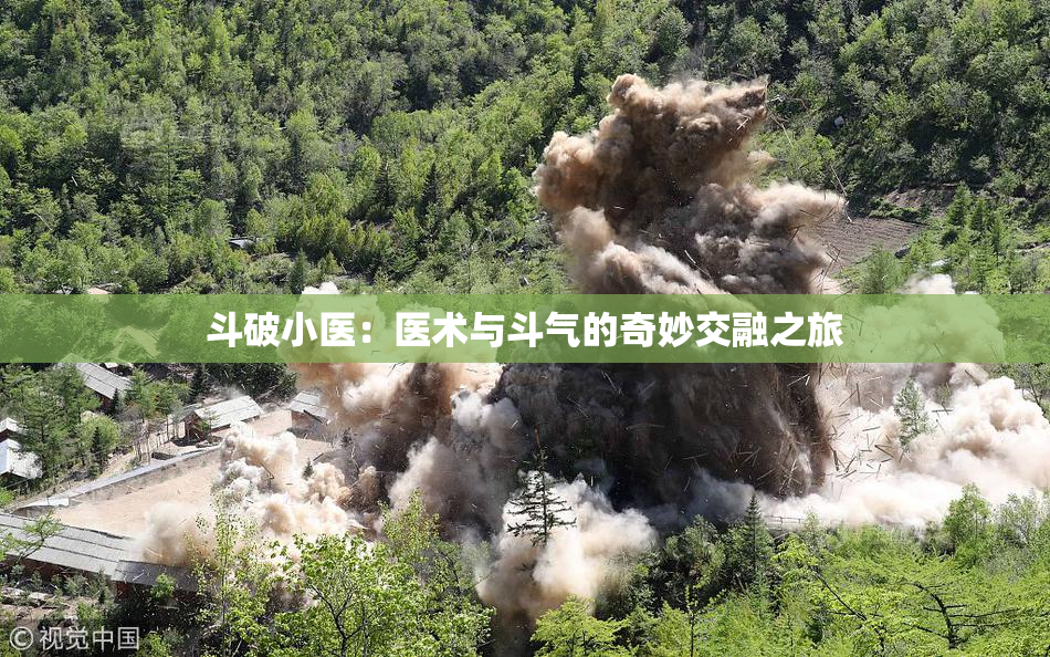斗破小医：医术与斗气的奇妙交融之旅