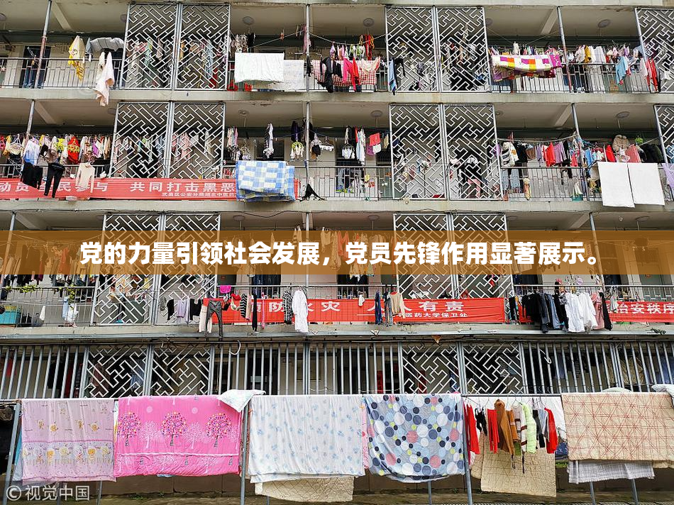 党的力量引领社会发展，党员先锋作用显著展示。
