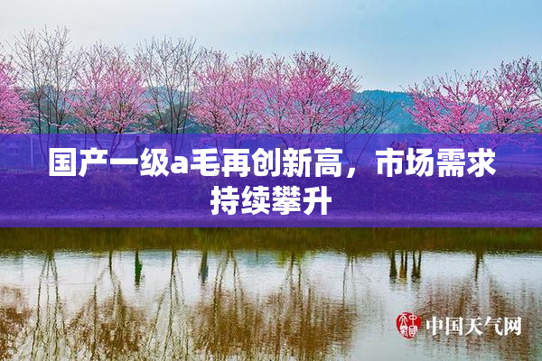 国产一级a毛再创新高，市场需求持续攀升