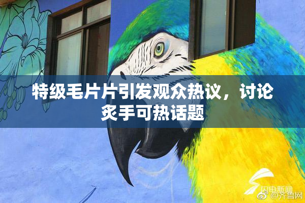 特级毛片片引发观众热议，讨论炙手可热话题