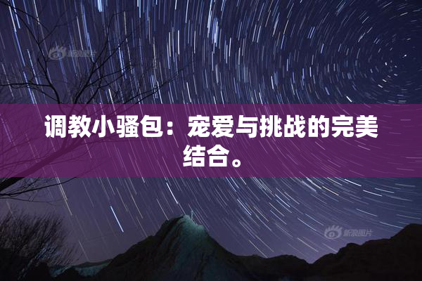 调教小骚包：宠爱与挑战的完美结合。