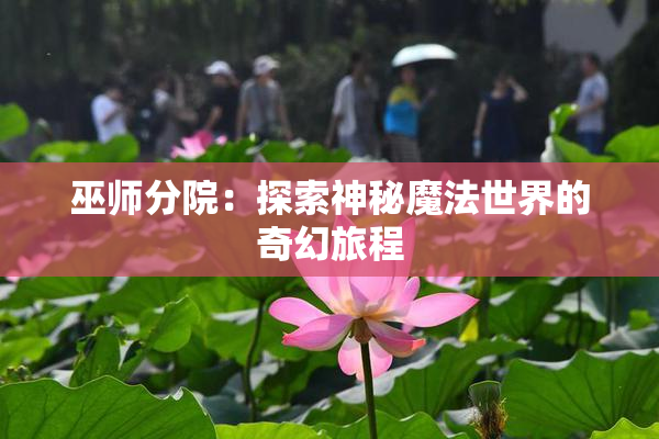 巫师分院：探索神秘魔法世界的奇幻旅程