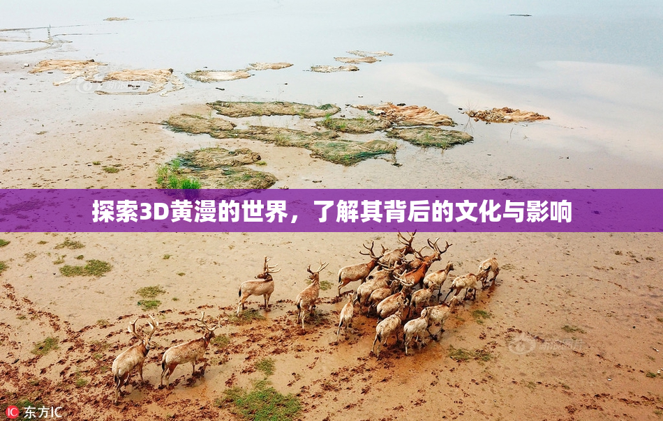 探索3D黄漫的世界，了解其背后的文化与影响