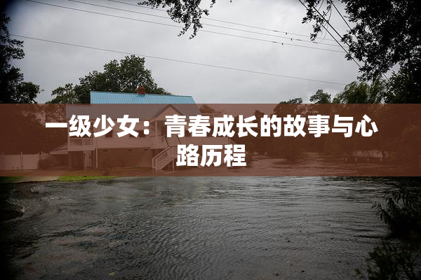 一级少女：青春成长的故事与心路历程