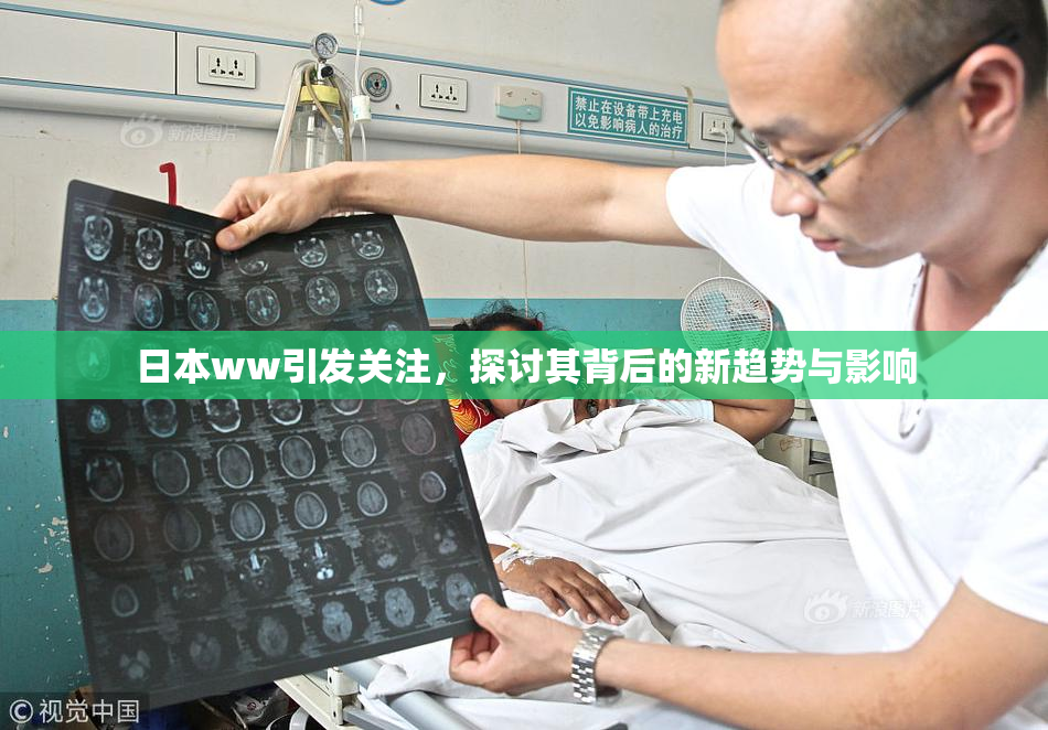 日本ww引发关注，探讨其背后的新趋势与影响