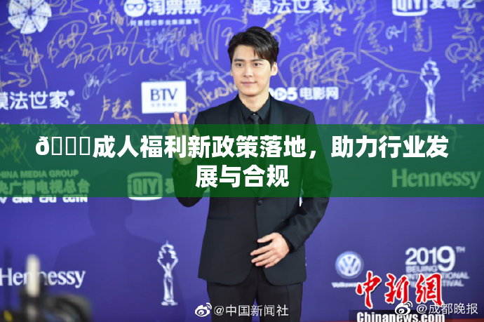 🔞成人福利新政策落地，助力行业发展与合规
