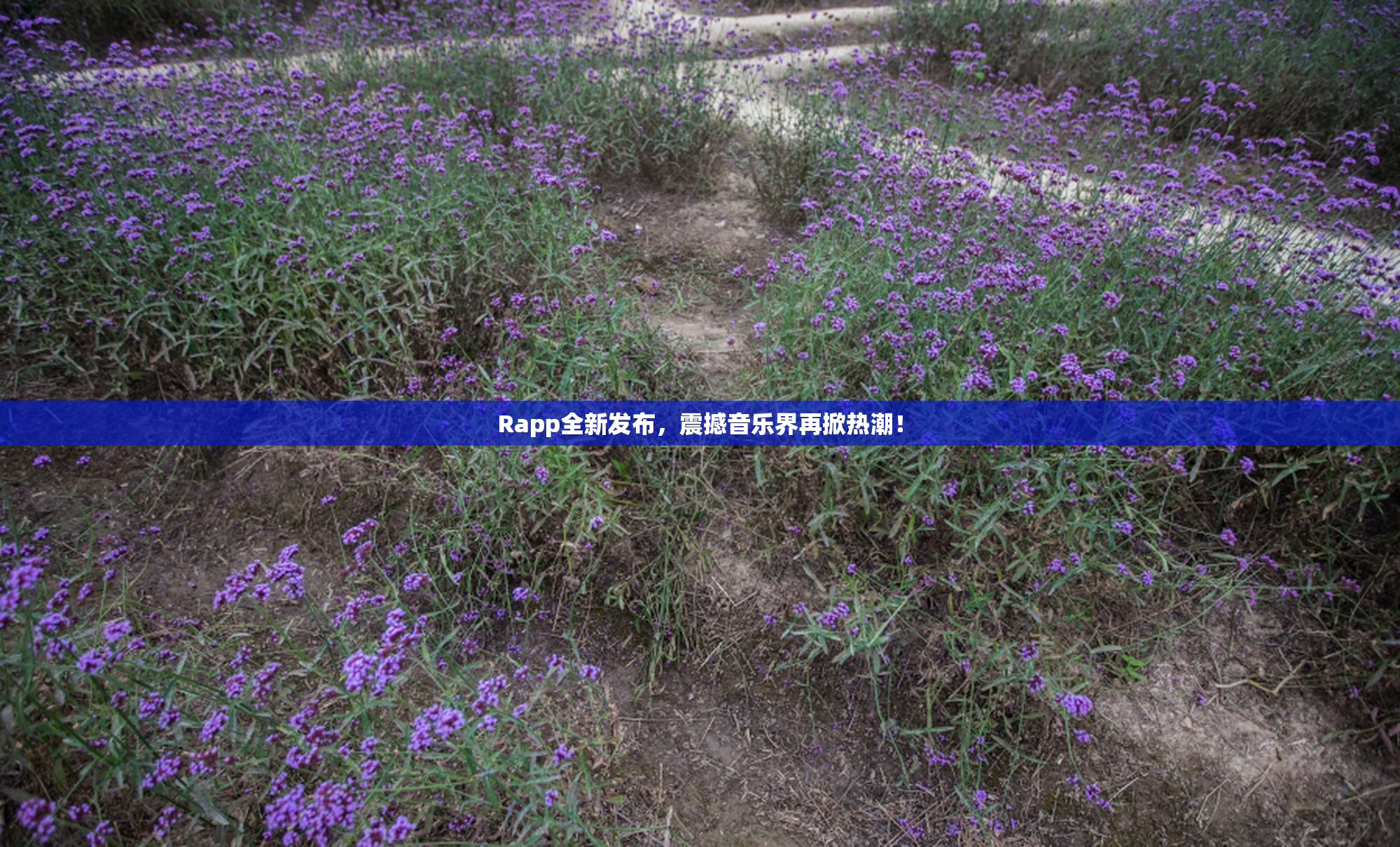 Rapp全新发布，震撼音乐界再掀热潮！