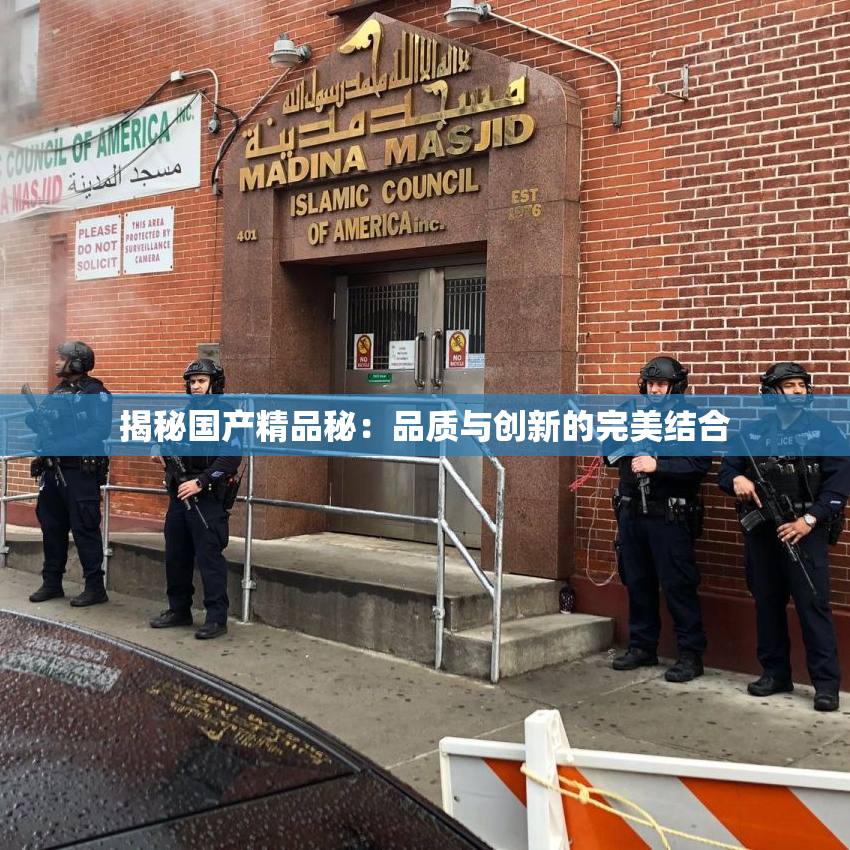 揭秘国产精品秘：品质与创新的完美结合