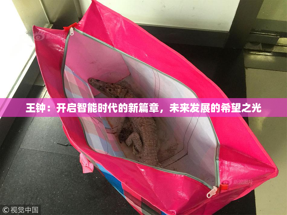 王钟：开启智能时代的新篇章，未来发展的希望之光
