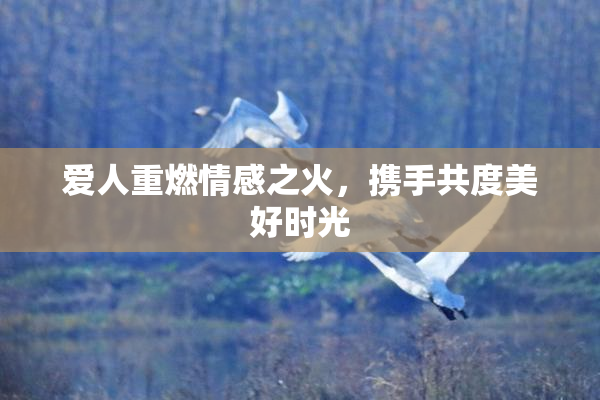 爱人重燃情感之火，携手共度美好时光