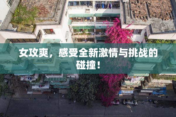 女攻爽，感受全新激情与挑战的碰撞！