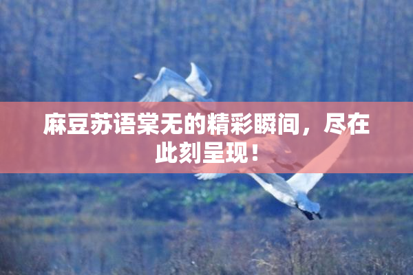 麻豆苏语棠无的精彩瞬间，尽在此刻呈现！