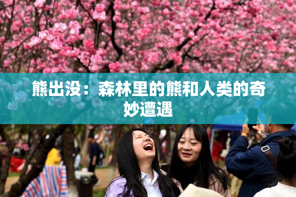 熊出没：森林里的熊和人类的奇妙遭遇