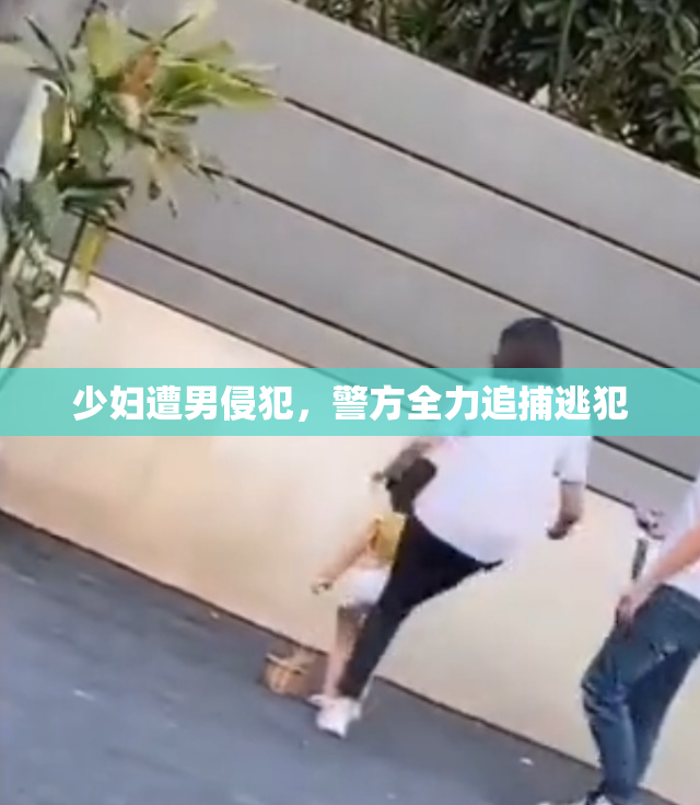 少妇遭男侵犯，警方全力追捕逃犯