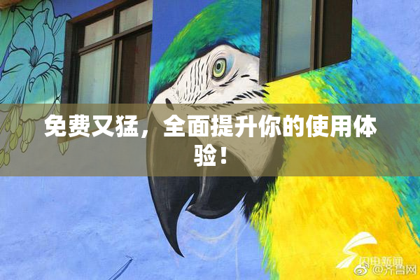 免费又猛，全面提升你的使用体验！