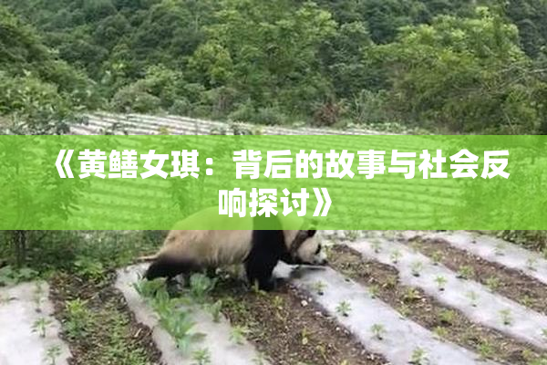 《黄鳝女琪：背后的故事与社会反响探讨》