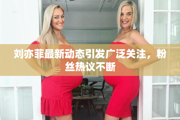 刘亦菲最新动态引发广泛关注，粉丝热议不断