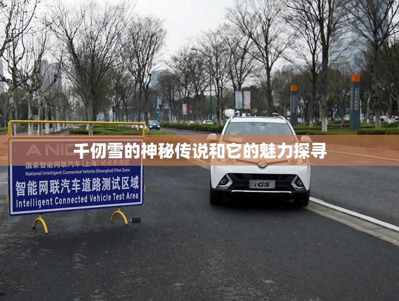 千仞雪的神秘传说和它的魅力探寻