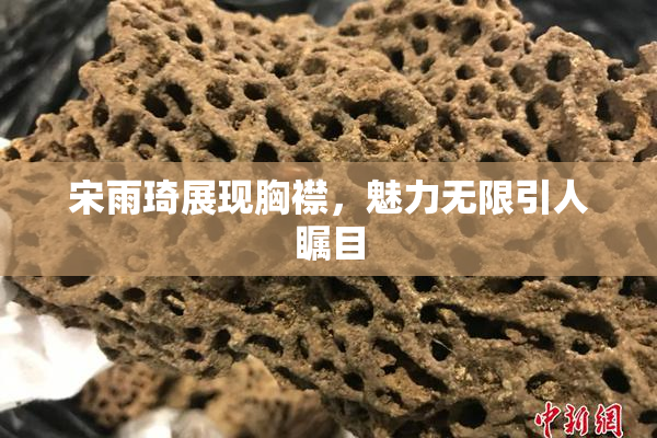 宋雨琦展现胸襟，魅力无限引人瞩目