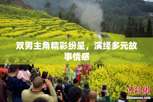 双男主角精彩纷呈，演绎多元故事情感