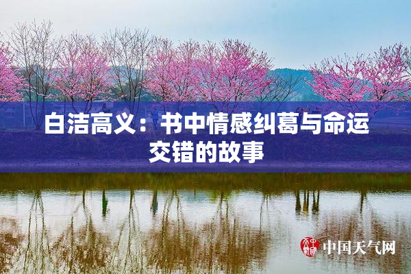 白洁高义：书中情感纠葛与命运交错的故事