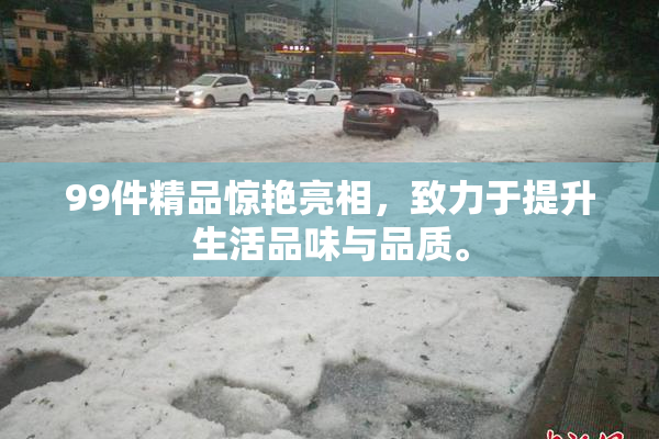 99件精品惊艳亮相，致力于提升生活品味与品质。