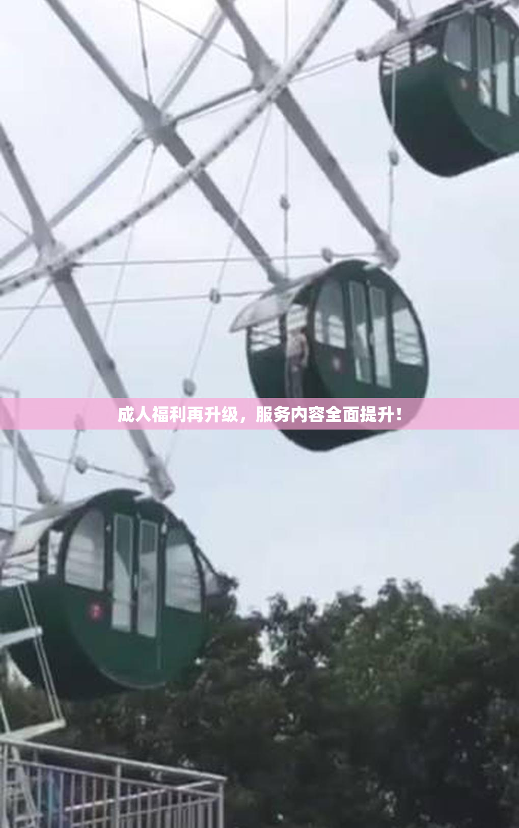 成人福利再升级，服务内容全面提升！