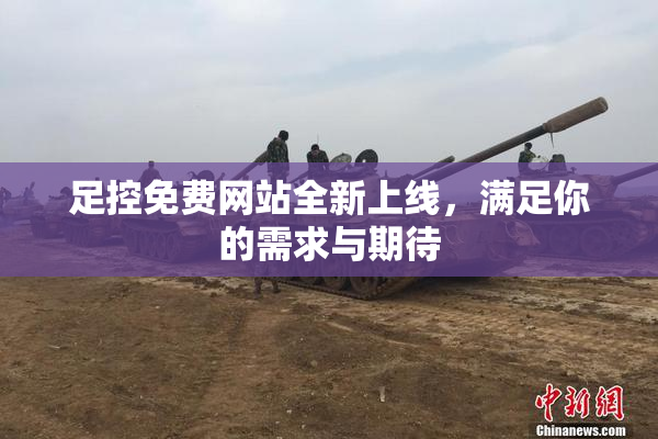 足控免费网站全新上线，满足你的需求与期待