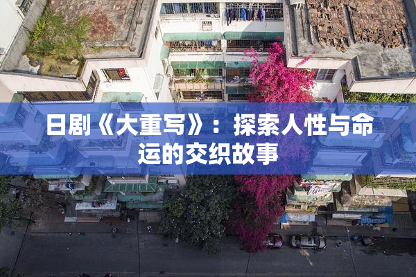 日剧《大重写》：探索人性与命运的交织故事