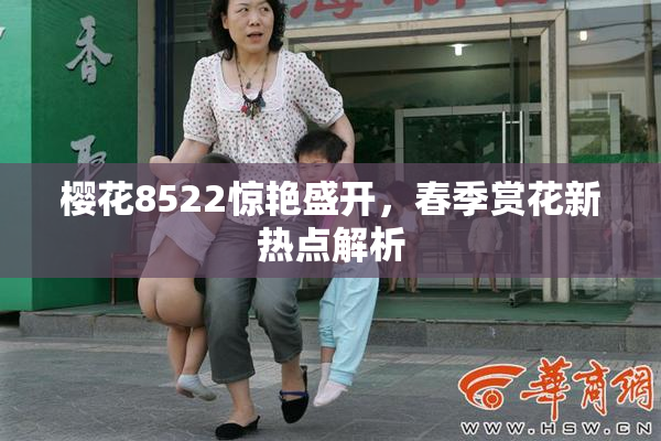 樱花8522惊艳盛开，春季赏花新热点解析