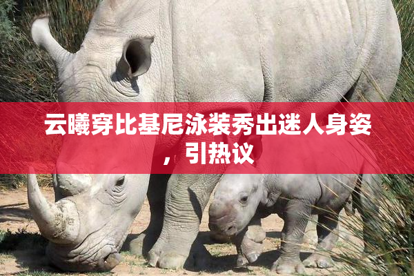 云曦穿比基尼泳装秀出迷人身姿，引热议