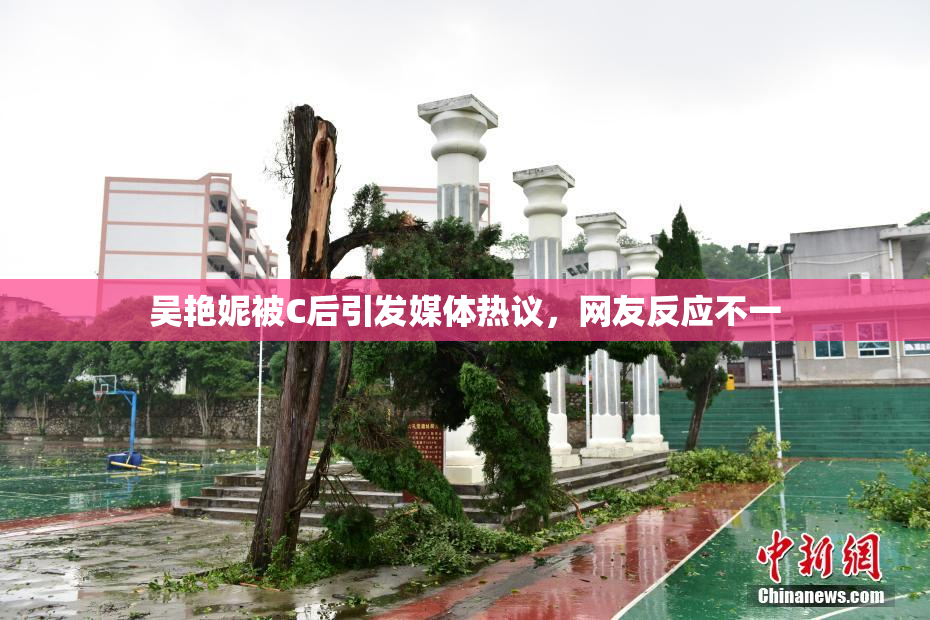 吴艳妮被C后引发媒体热议，网友反应不一
