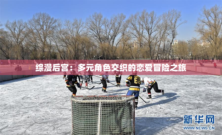 综漫后宫：多元角色交织的恋爱冒险之旅