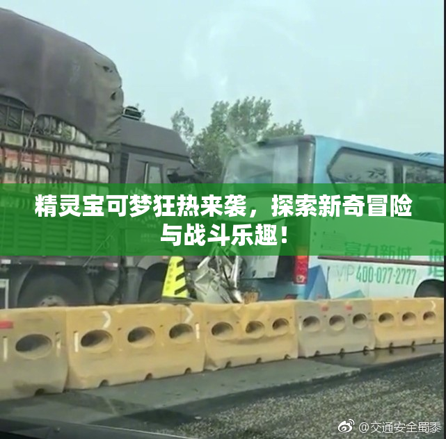 精灵宝可梦狂热来袭，探索新奇冒险与战斗乐趣！