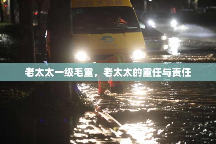 老太太一级毛重，老太太的重任与责任