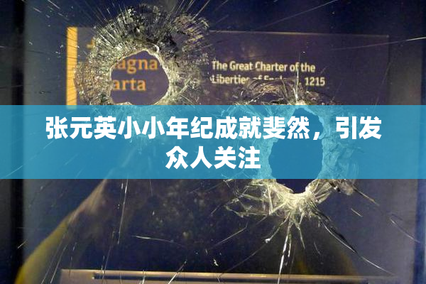 张元英小小年纪成就斐然，引发众人关注