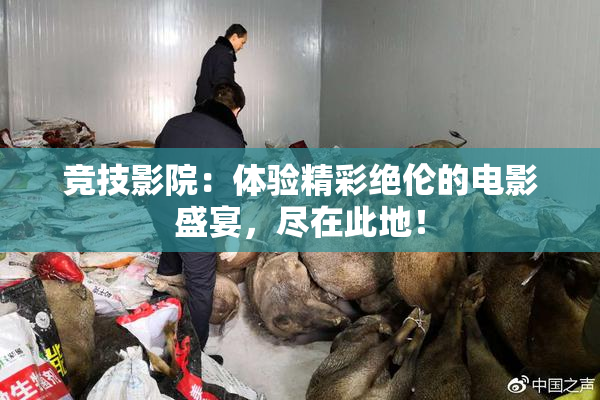 竞技影院：体验精彩绝伦的电影盛宴，尽在此地！