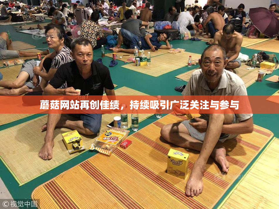 蘑菇网站再创佳绩，持续吸引广泛关注与参与