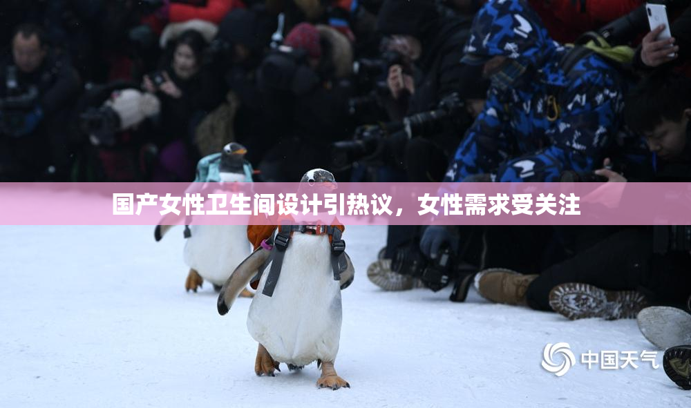 国产女性卫生间设计引热议，女性需求受关注