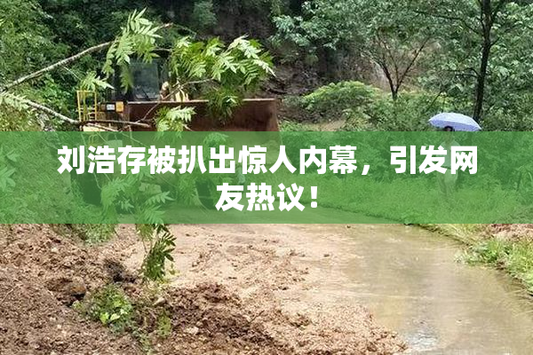 刘浩存被扒出惊人内幕，引发网友热议！