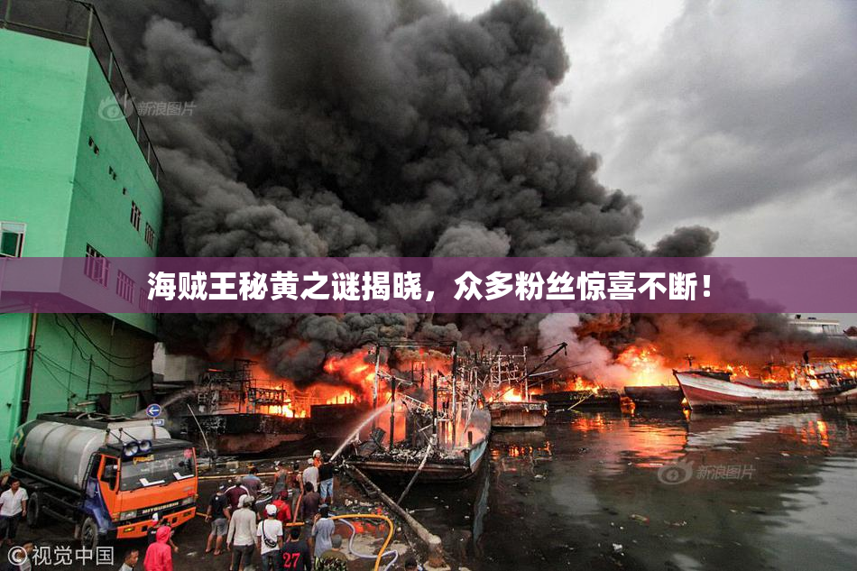 海贼王秘黄之谜揭晓，众多粉丝惊喜不断！