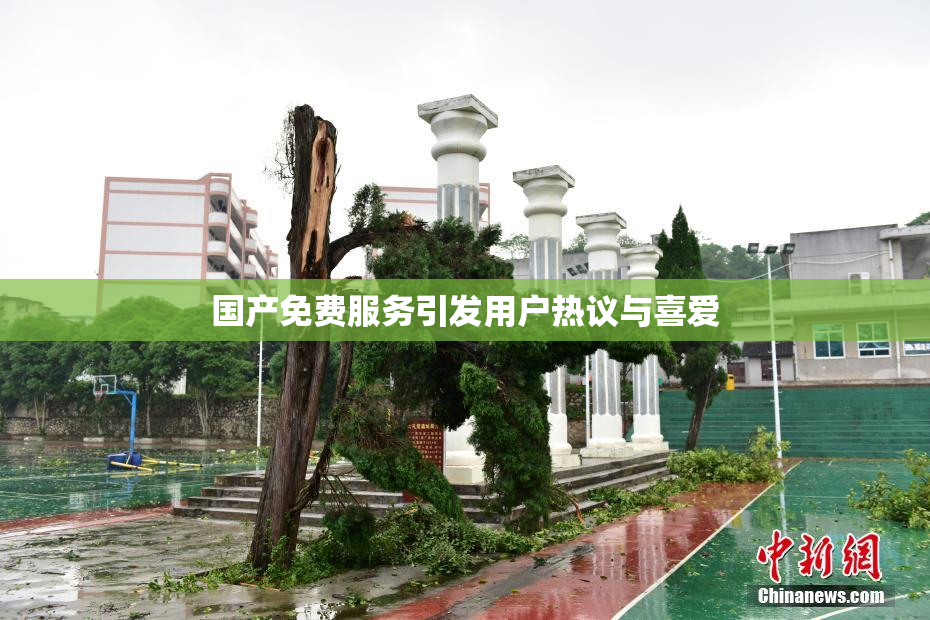 国产免费服务引发用户热议与喜爱