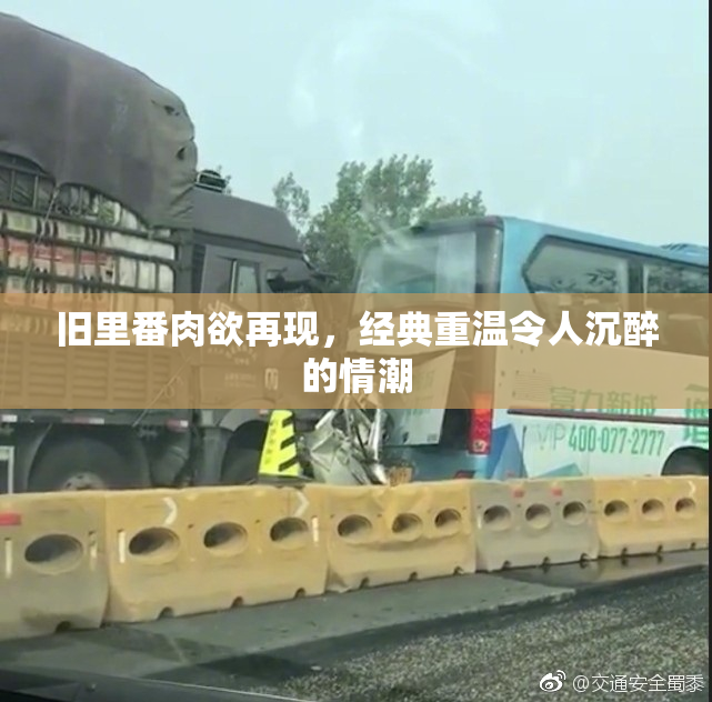 旧里番肉欲再现，经典重温令人沉醉的情潮
