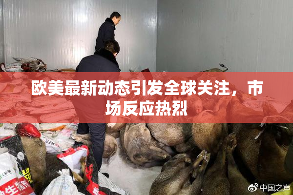 欧美最新动态引发全球关注，市场反应热烈